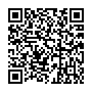 安平-QR CODE