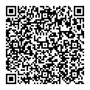 市政府建平17街郡平路慶平路運河安平區安平國小新南國小-QR CODE