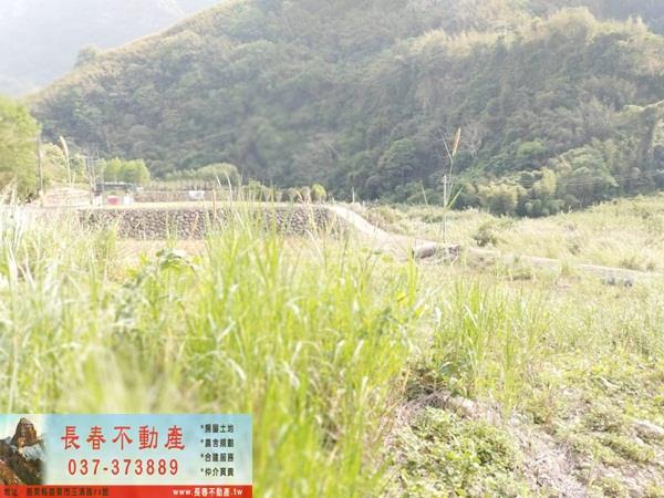 苗栗廠辦-5