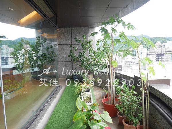 台北信義區大樓-1