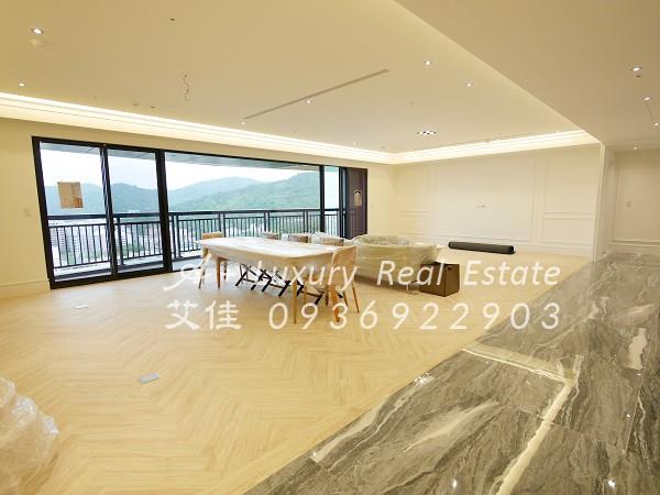 租台北市內湖區豪宅全新長虹天璽美景觀Swim泳池近捷運