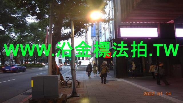 台北大安區法拍華廈-5