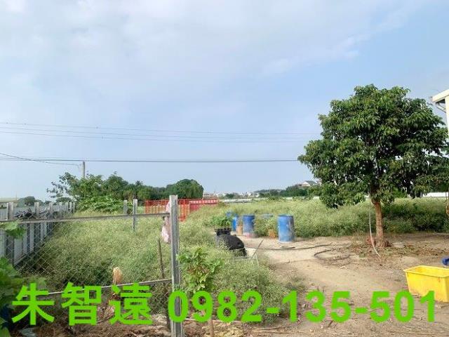 台南善化農作室-6