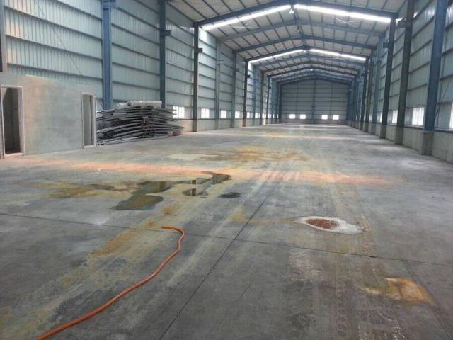 桃園大園廠房-0