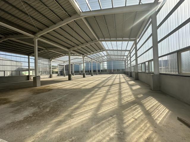 蘆竹廠房-2
