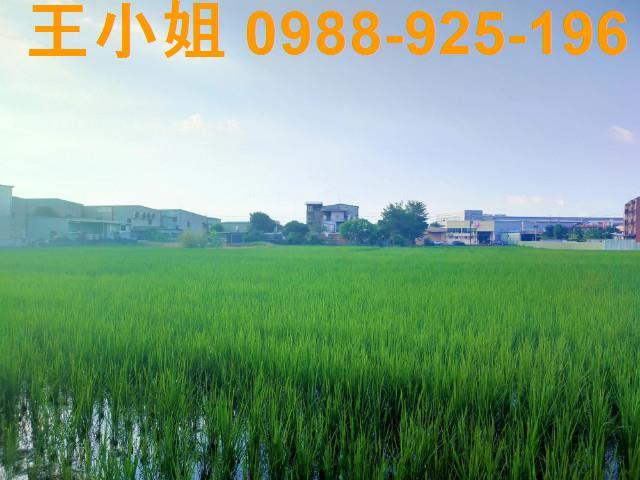 桃園八德農舍-3
