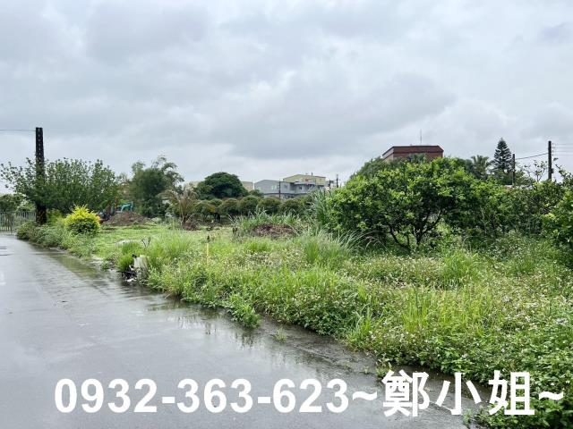 桃園區農舍-2