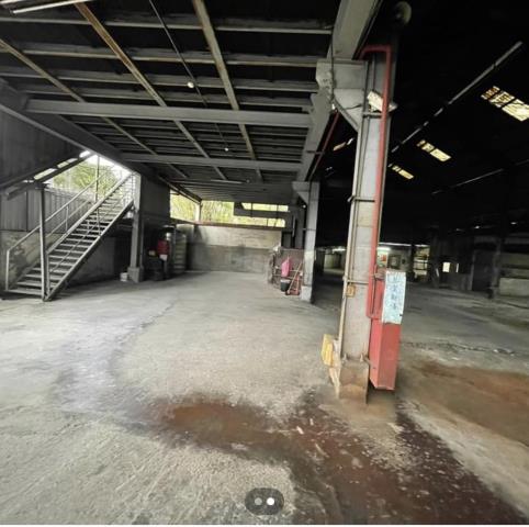 桃園大園廠房-2