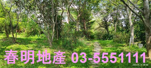 新竹新埔農舍-3