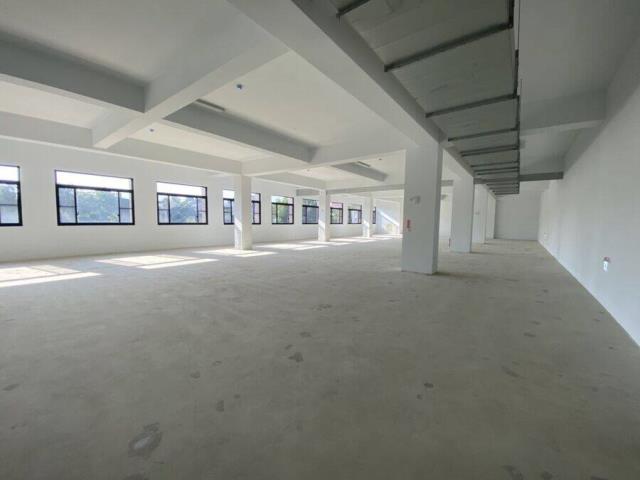 桃園廠房-1