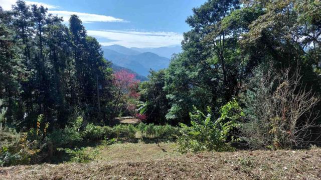 橫山農舍-12