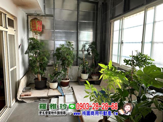 桃園大溪透天-3