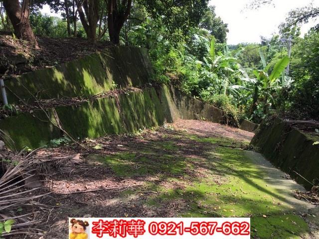 左鎮一樓-4