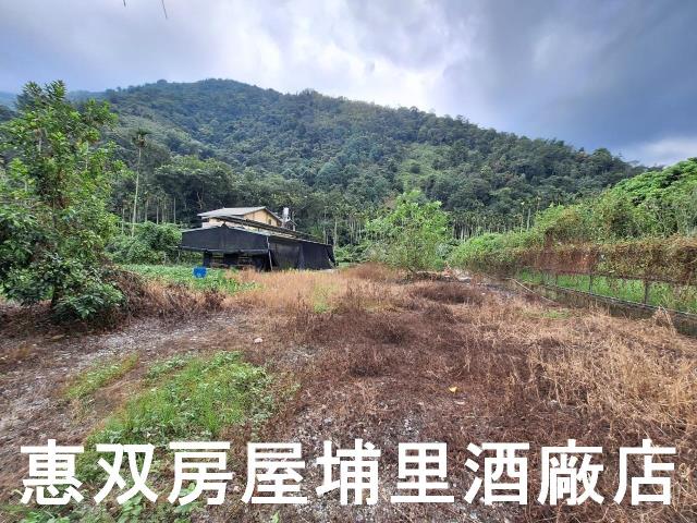 南投埔里農舍-7