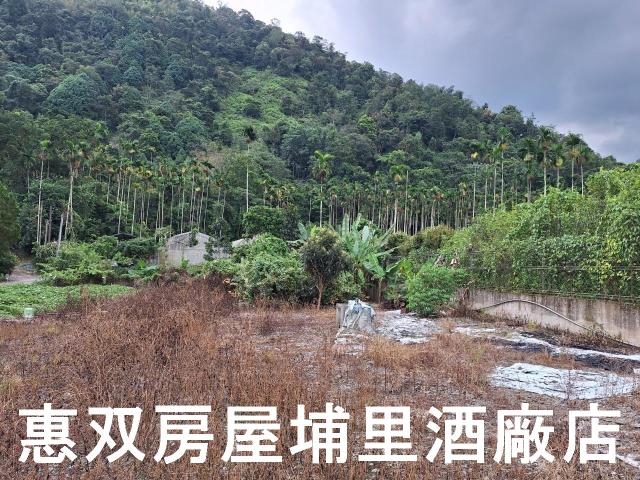 南投埔里農舍-9