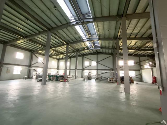 桃園龍潭廠房-3