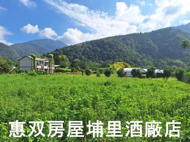 埔里透天-0