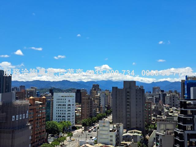 忠孝新生捷運5號2號出口臨沂帝國邊間氣派老樹咖啡高樓層豪宅車