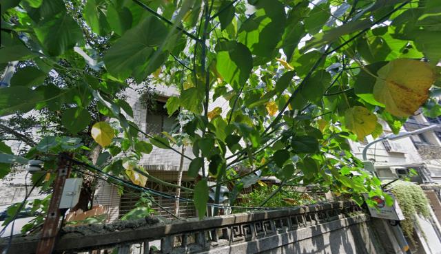 台北中正區法拍公寓-3
