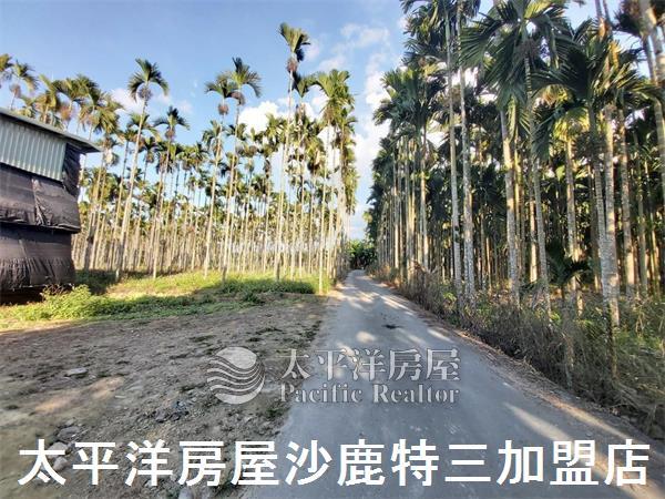 南投魚池農舍-2