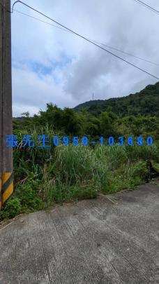 宜蘭透天拍賣-4