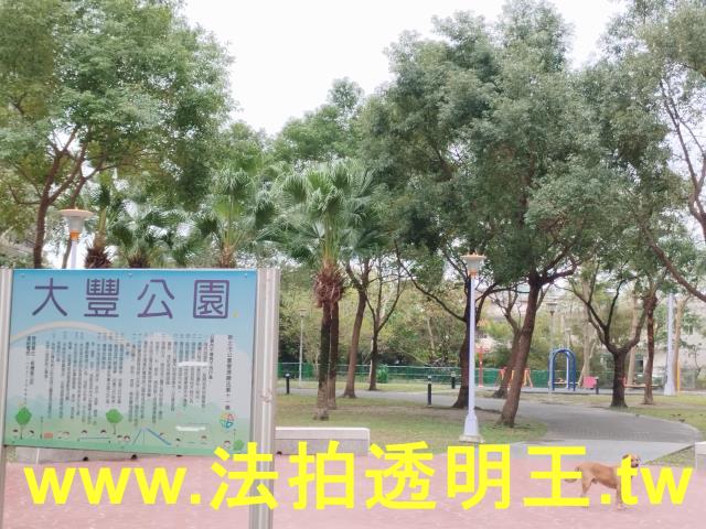 新北法拍大樓-11