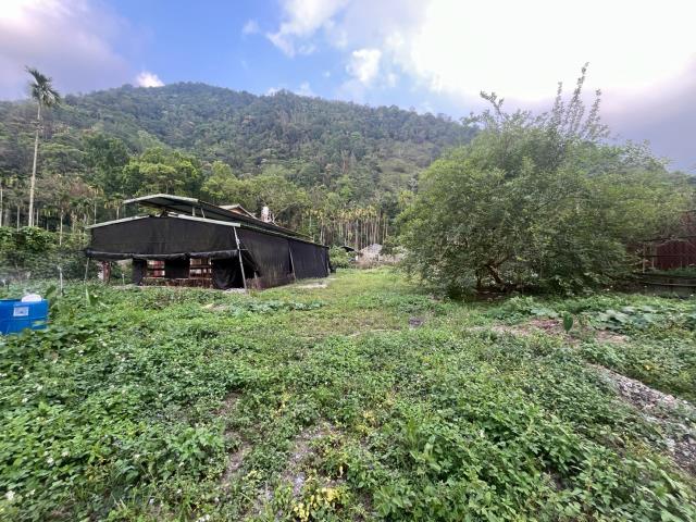 埔里透天-10