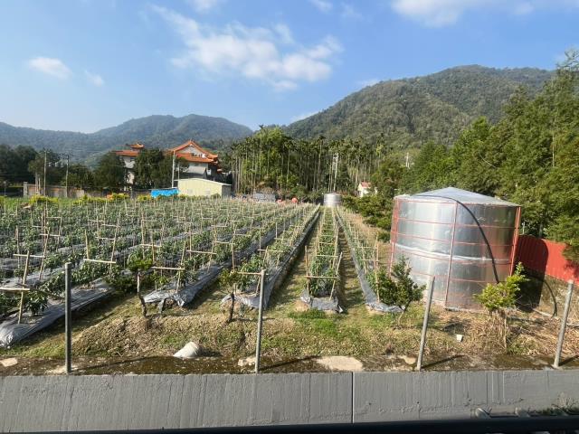 埔里別墅-2