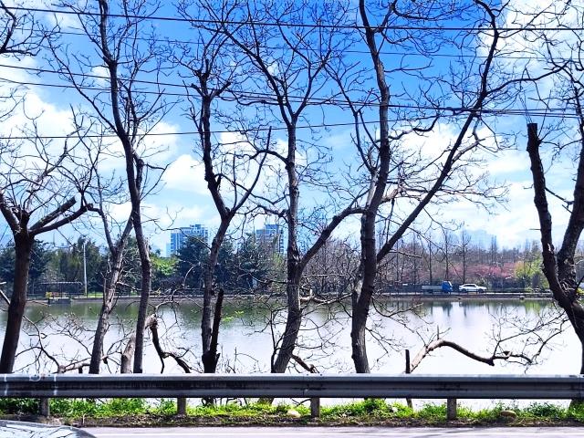平鎮公寓-8