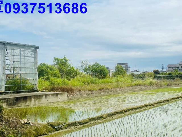 員山溫室-7