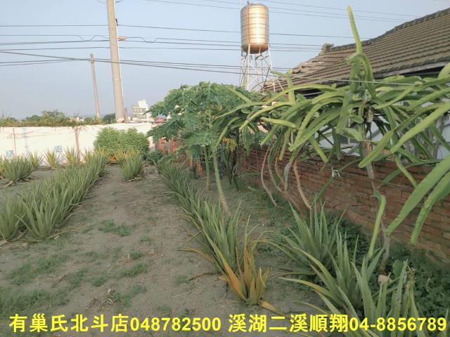 溪州一樓-1