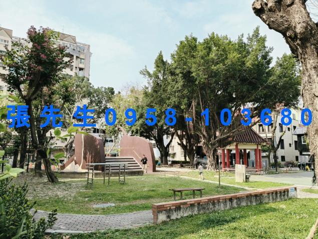 嘉義法拍透天-3