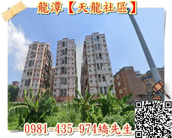 桃園龍潭華廈法拍-0