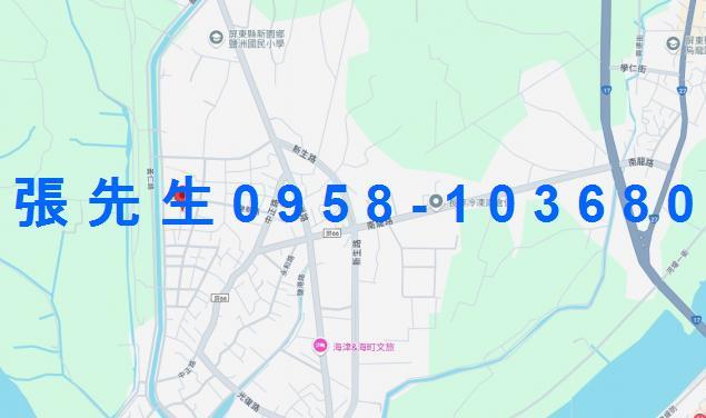 屏東新園法拍透天-3