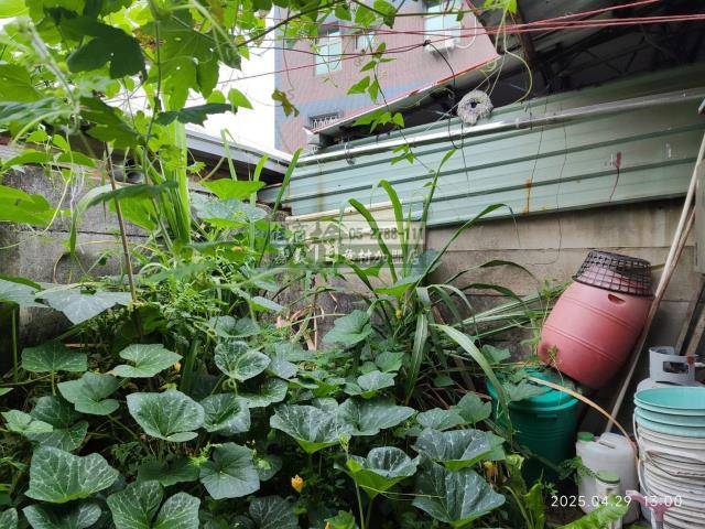 嘉義水上透天-4