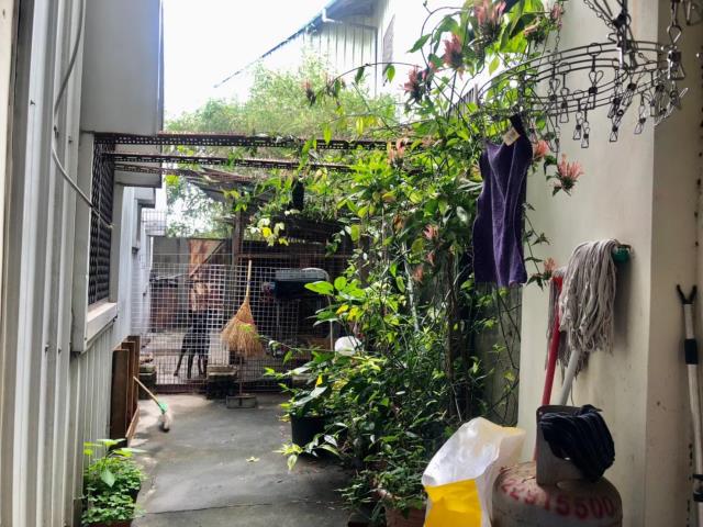 大雅透天-7