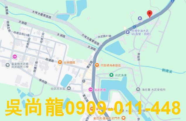 大武透天法拍-1