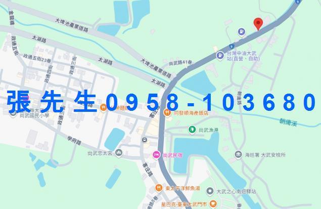台東拍賣透天-1