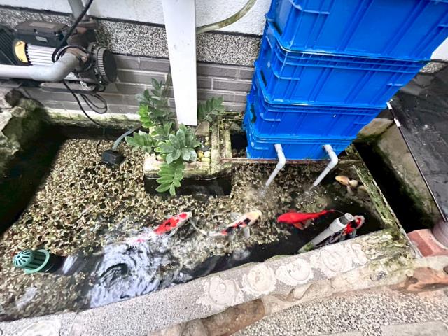 楊梅透天-8