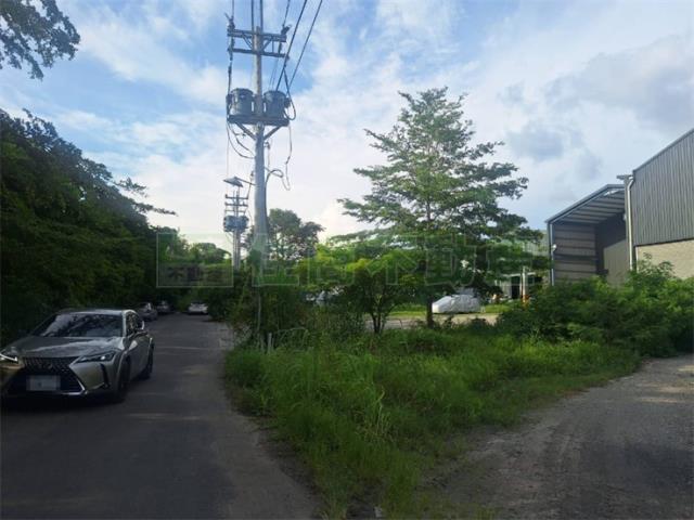 燕巢廠房-1