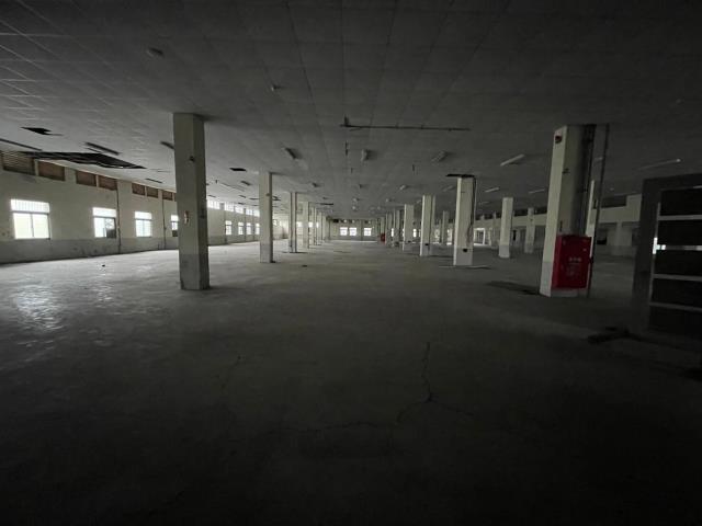 桃園八德廠房-0