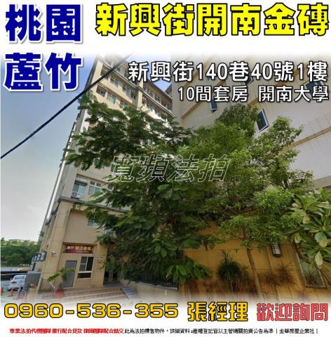 蘆竹法拍套房-0