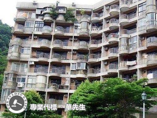 新北新店華廈法拍-8