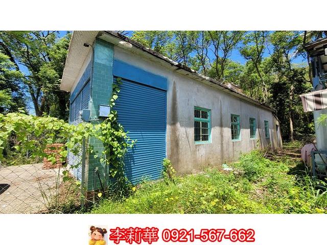 杉林農舍-3