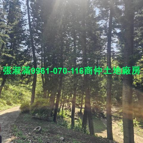 苗栗廠房-1