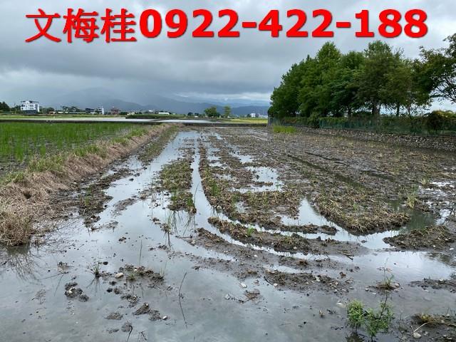 宜蘭農舍-8