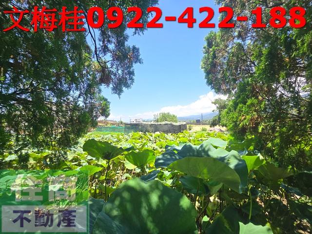 宜蘭頭城農舍-0