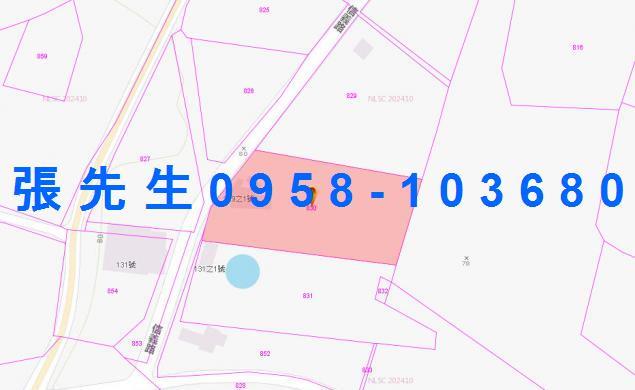 瑞穗透天拍賣-2