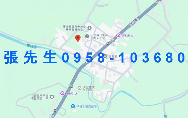 玉里法拍透天-1