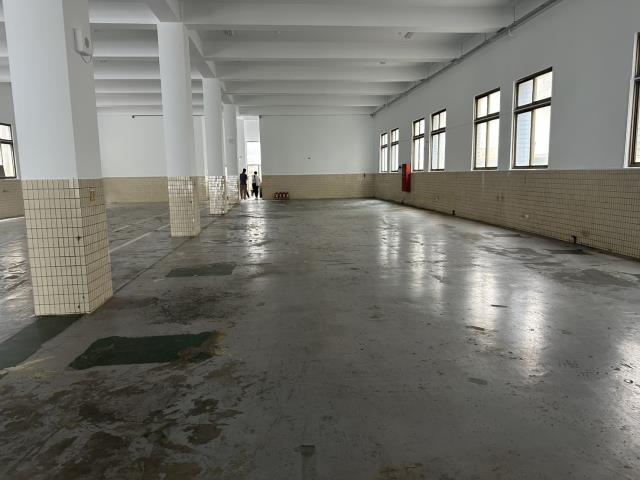 桃園廠房-4